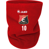 ESV Lok Elstal Neckwarmer