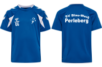 SV Blau-Weiß Perleberg hmlCORE 2.0 JERSEY S/S
