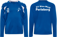 SV Blau-Weiß Perleberg hmlCORE 2.0 JERSEY L/S