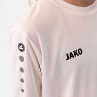 Jako Trikot Team KA