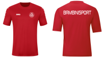 Bambinisport Trikot Team KA