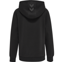 Lifestyle Hoodie Borussin!