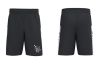 Jiu-Jitsu INTRO Shorts