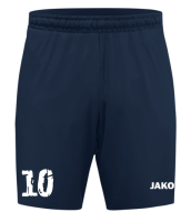FC Deetz Trainingsshort Dynamic