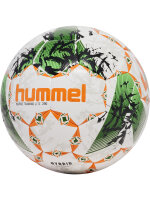 HUMMEL hmlINSPIRE TRAINING LITE 290 FB