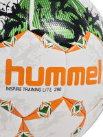 HUMMEL hmlINSPIRE TRAINING LITE 290 FB